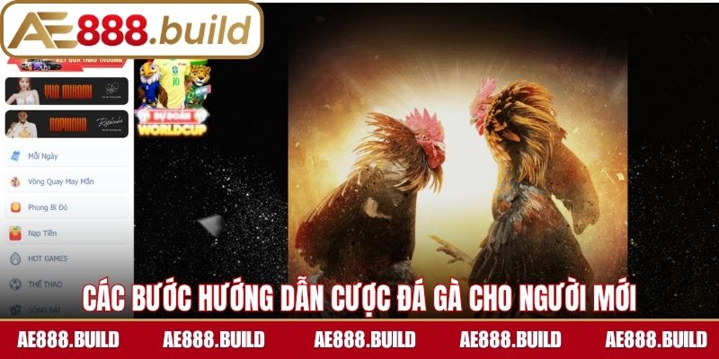 Chi tiết các bước hướng dẫn cược đá gà cho người mới 